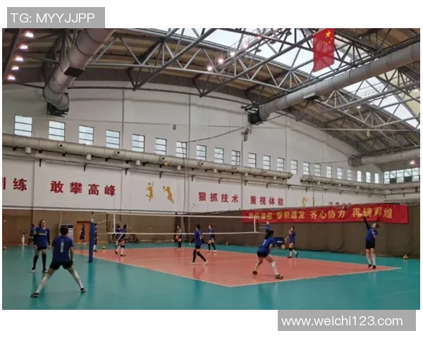 专访王娜：探寻篮球领域的成功秘诀与奋斗历程